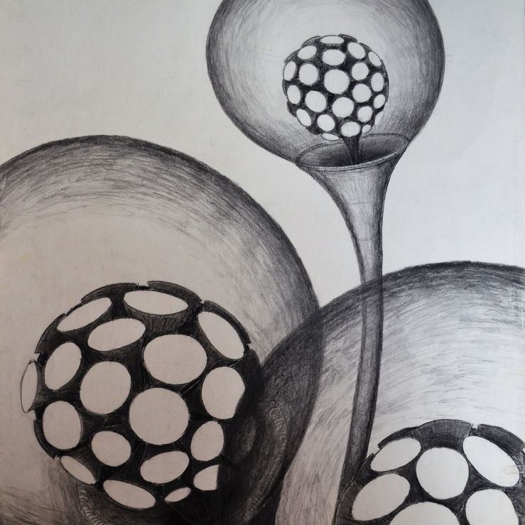 Fantasy Flowers - Charcoal on Paper