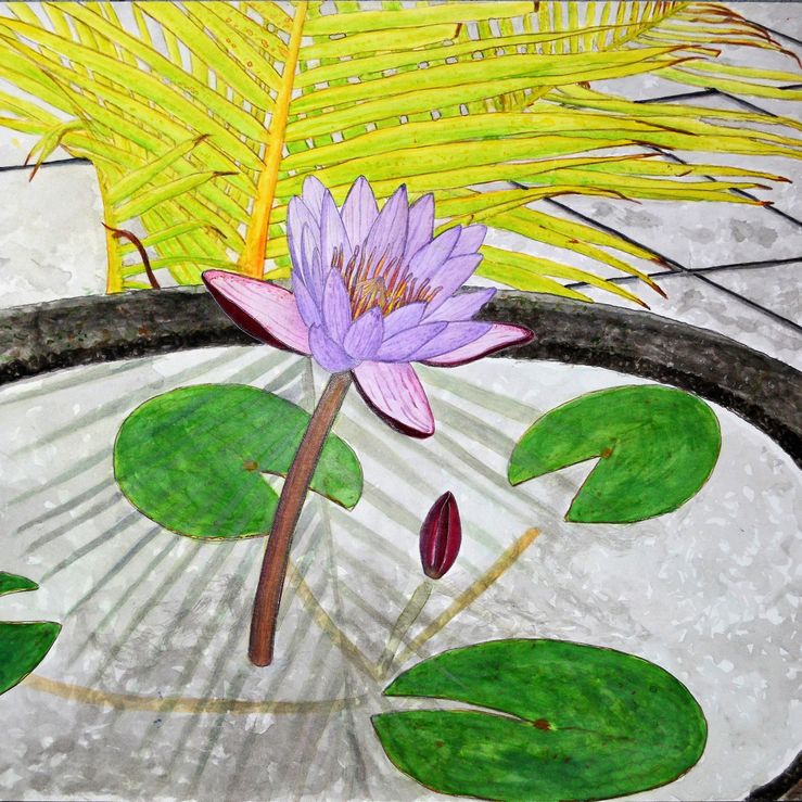 Lotusflower pinted in Bali - watercolor on paper